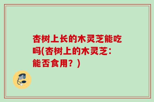 杏树上长的木灵芝能吃吗(杏树上的木灵芝：能否食用？)