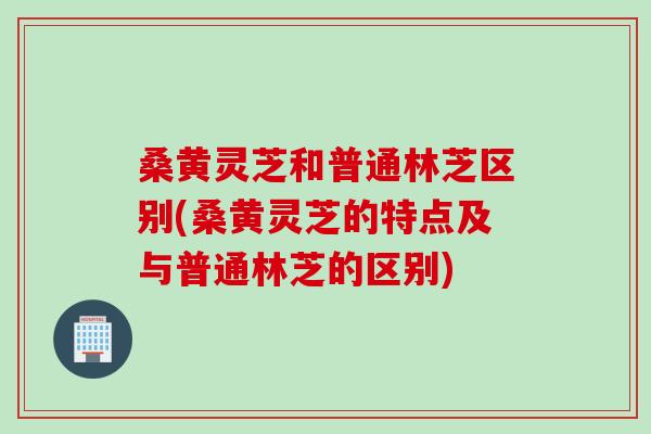 桑黄灵芝和普通林芝区别(桑黄灵芝的特点及与普通林芝的区别)