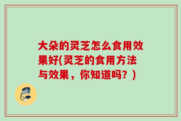 大朵的灵芝怎么食用效果好(灵芝的食用方法与效果，你知道吗？)