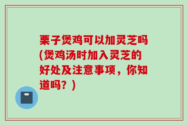 栗子煲鸡可以加灵芝吗(煲鸡汤时加入灵芝的好处及注意事项，你知道吗？)