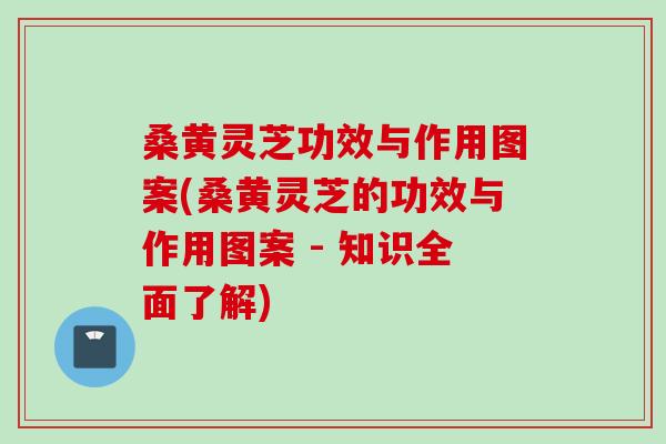桑黄灵芝功效与作用图案(桑黄灵芝的功效与作用图案 - 知识全面了解)
