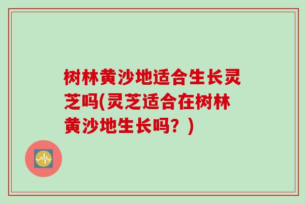 树林黄沙地适合生长灵芝吗(灵芝适合在树林黄沙地生长吗?) 树林黄沙地适合生长灵芝吗(灵芝适合在树林黄沙地生长吗?)