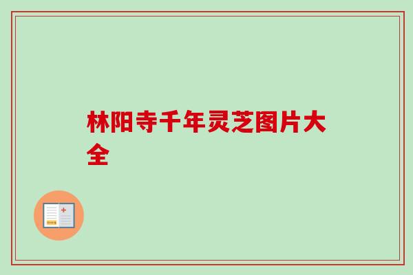 林阳寺千年灵芝图片大全