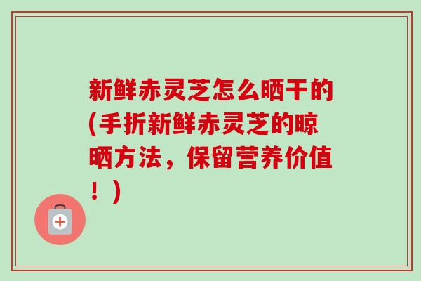 新鲜赤灵芝怎么晒干的(手折新鲜赤灵芝的晾晒方法，保留营养价值！)