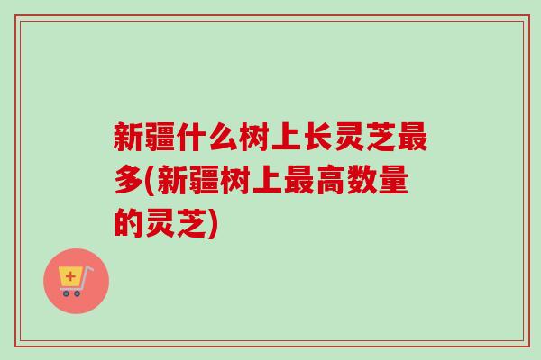 新疆什么树上长灵芝最多(新疆树上最高数量的灵芝)