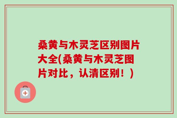 桑黄与木灵芝区别图片大全(桑黄与木灵芝图片对比,认清区别!) 桑黄与木灵芝区别图片大全(桑黄与木灵芝图片对比,认清区别!)