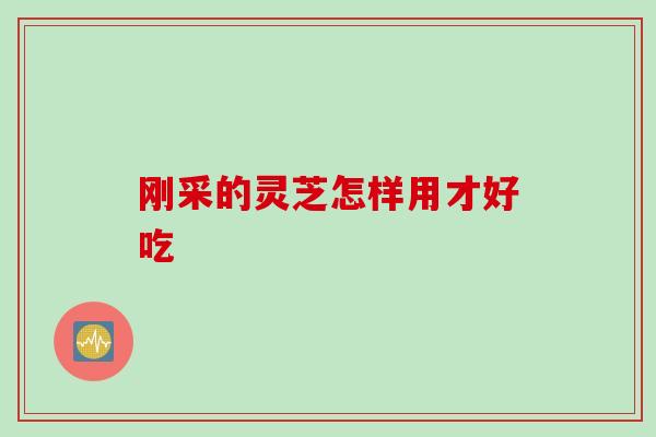刚采的灵芝怎样用才好吃