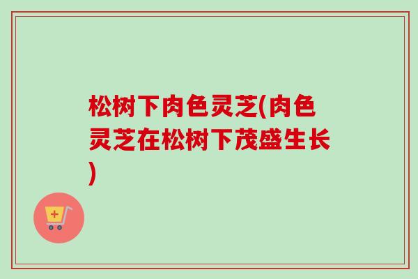 松树下肉色灵芝(肉色灵芝在松树下茂盛生长) 松树下肉色灵芝(肉色灵芝在松树下茂盛生长)
