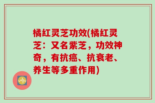 橘红灵芝功效(橘红灵芝：又名紫芝，功效神奇，有抗癌、抗衰老、养生等多重作用)