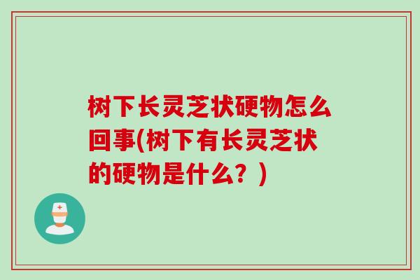 树下长灵芝状硬物怎么回事(树下有长灵芝状的硬物是什么？)