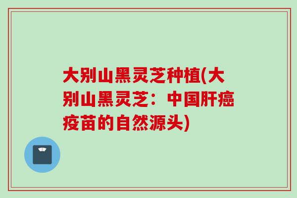 大别山黑灵芝种植(大别山黑灵芝：中国肝癌疫苗的自然源头)