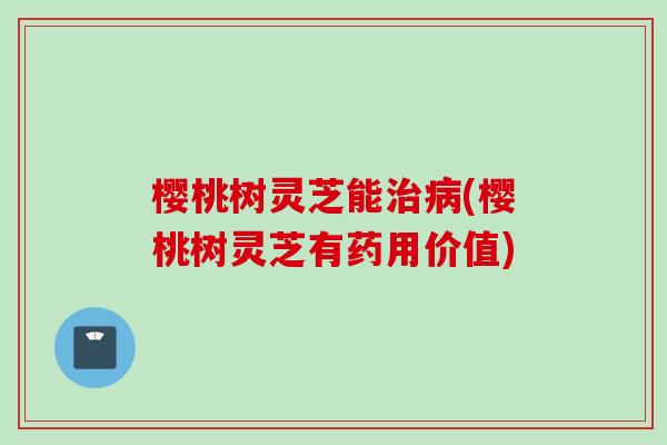 樱桃树灵芝能治病(樱桃树灵芝有药用价值)