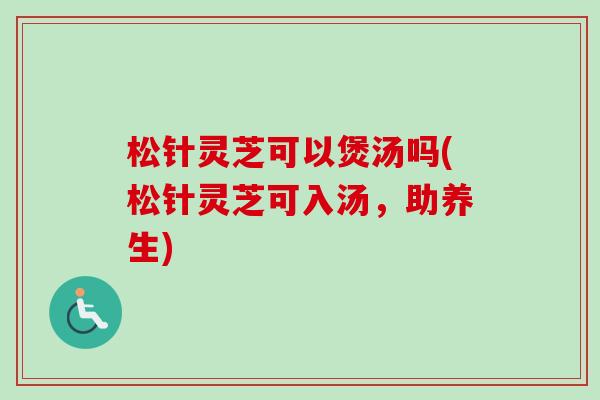 松针灵芝可以煲汤吗(松针灵芝可入汤，助养生)