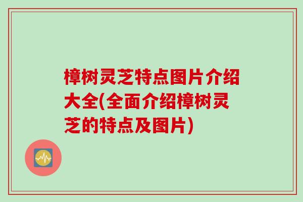 樟树灵芝特点图片介绍大全(全面介绍樟树灵芝的特点及图片)
