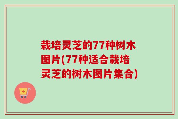栽培灵芝的77种树木图片(77种适合栽培灵芝的树木图片集合)
