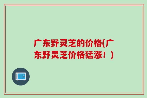 广东野灵芝的价格(广东野灵芝价格猛涨！)