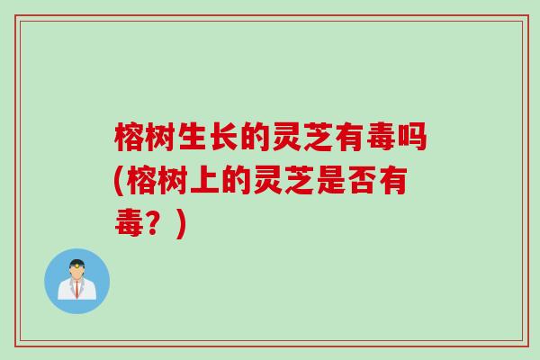 榕树生长的灵芝有毒吗(榕树上的灵芝是否有毒?) 榕树生长的灵芝有毒吗(榕树上的灵芝是否有毒?)