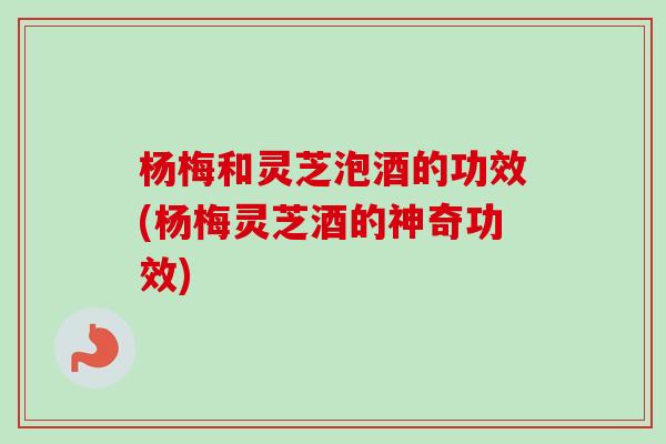 杨梅和灵芝泡酒的功效(杨梅灵芝酒的神奇功效)