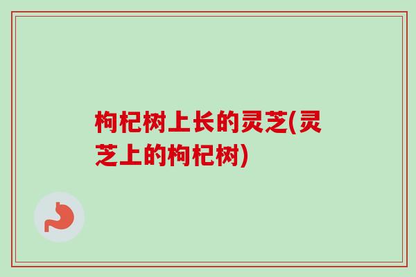 枸杞树上长的灵芝(灵芝上的枸杞树)
