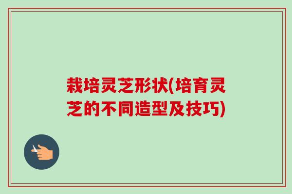 栽培灵芝形状(培育灵芝的不同造型及技巧)