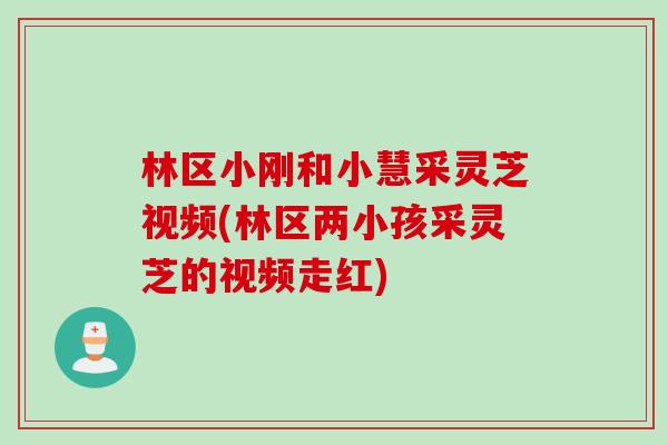 林区小刚和小慧采灵芝视频(林区两小孩采灵芝的视频走红)