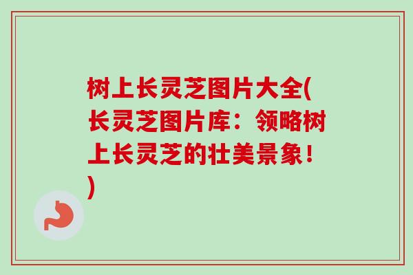 树上长灵芝图片大全(长灵芝图片库：领略树上长灵芝的壮美景象！)