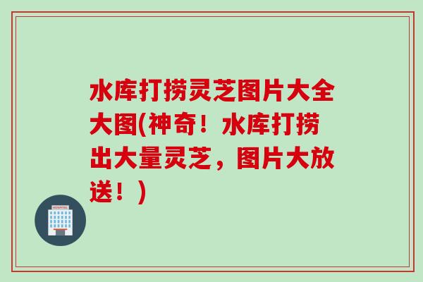 水库打捞灵芝图片大全大图(神奇！水库打捞出大量灵芝，图片大放送！)