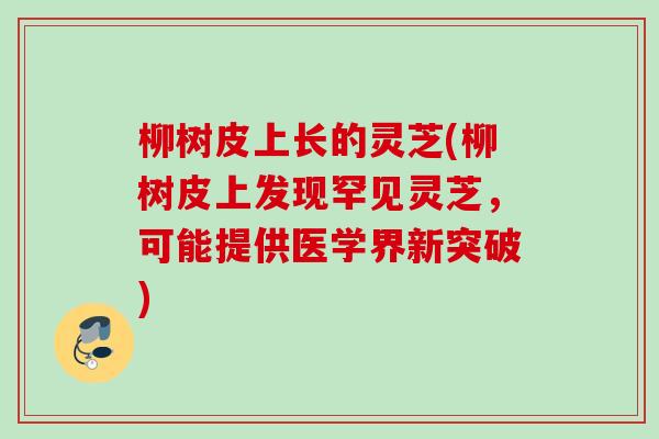 柳树皮上长的灵芝(柳树皮上发现罕见灵芝，可能提供医学界新突破)