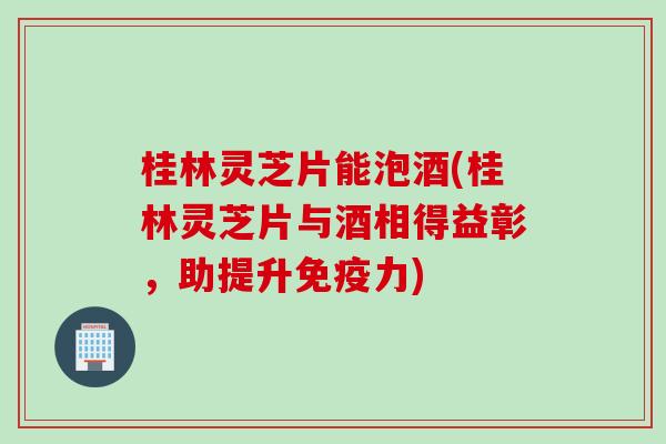 桂林灵芝片能泡酒(桂林灵芝片与酒相得益彰，助提升免疫力)