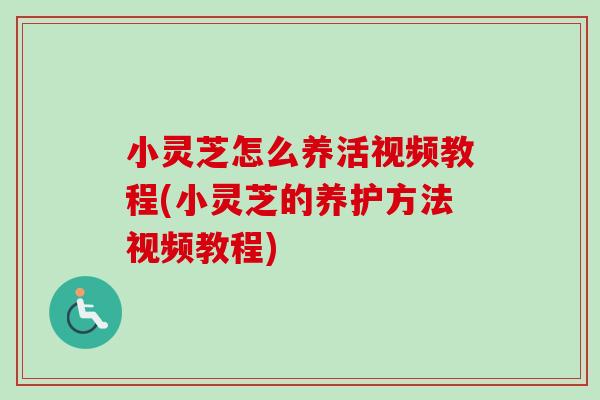 小灵芝怎么养活视频教程(小灵芝的养护方法视频教程)