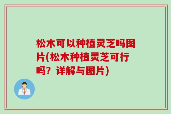 松木可以种植灵芝吗图片(松木种植灵芝可行吗？详解与图片)