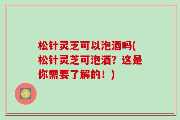 松针灵芝可以泡酒吗(松针灵芝可泡酒?这是你需要了解的!) 松针灵芝可以泡酒吗(松针灵芝可泡酒?这是你需要了解的!)