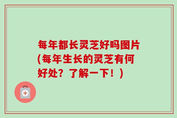 每年都长灵芝好吗图片(每年生长的灵芝有何好处？了解一下！)