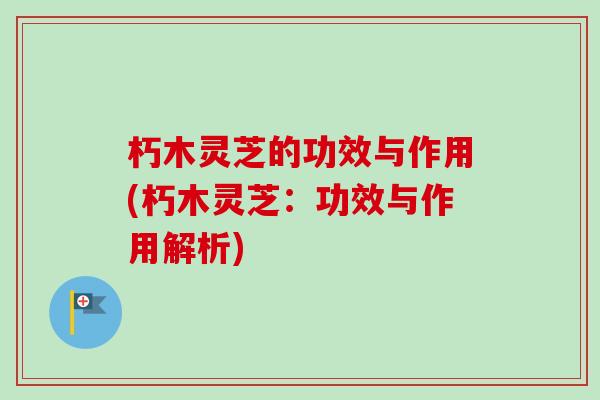 朽木灵芝的功效与作用(朽木灵芝：功效与作用解析)
