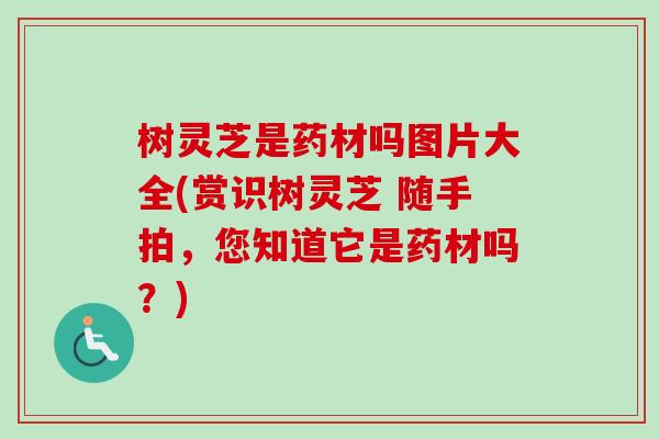 树灵芝是药材吗图片大全(赏识树灵芝 随手拍，您知道它是药材吗？)