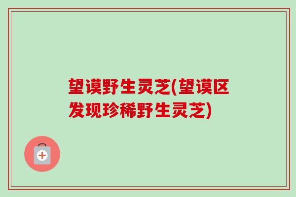 望谟野生灵芝(望谟区发现珍稀野生灵芝) 望谟野生灵芝(望谟区发现珍稀野生灵芝)