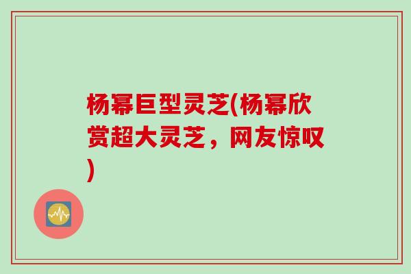 杨幂巨型灵芝(杨幂欣赏超大灵芝，网友惊叹)