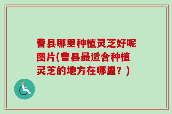曹县哪里种植灵芝好呢图片(曹县最适合种植灵芝的地方在哪里？)