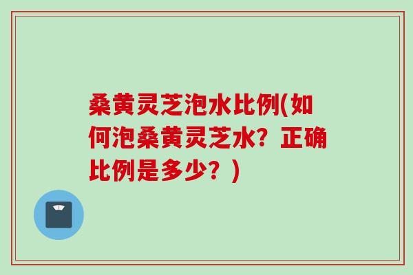 桑黄灵芝泡水比例(如何泡桑黄灵芝水？正确比例是多少？)