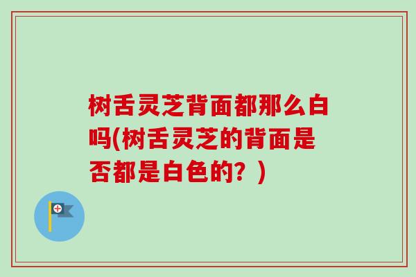 树舌灵芝背面都那么白吗(树舌灵芝的背面是否都是白色的？)