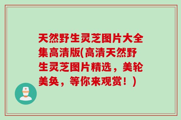 天然野生灵芝图片大全集高清版(高清天然野生灵芝图片精选，美轮美奂，等你来观赏！)
