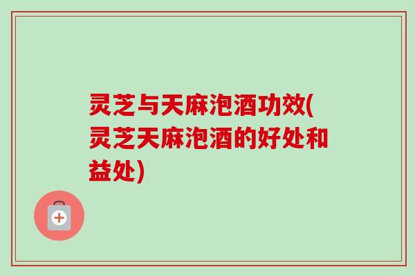 灵芝与天麻泡酒功效(灵芝天麻泡酒的好处和益处)