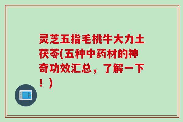 灵芝五指毛桃牛大力土茯苓(五种中药材的神奇功效汇总，了解一下！)