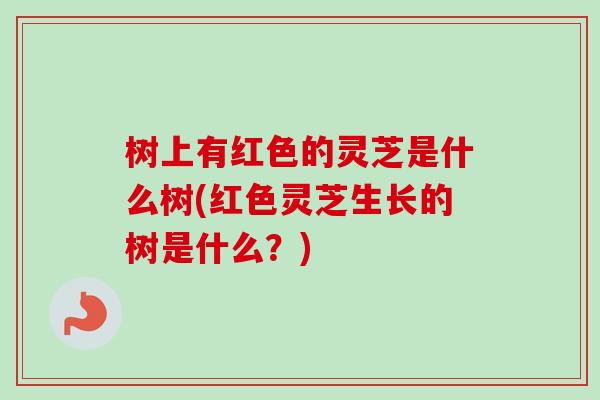树上有红色的灵芝是什么树(红色灵芝生长的树是什么？)
