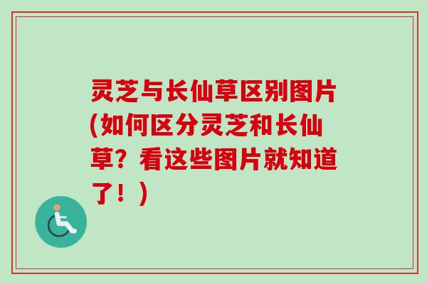 灵芝与长仙草区别图片(如何区分灵芝和长仙草？看这些图片就知道了！)
