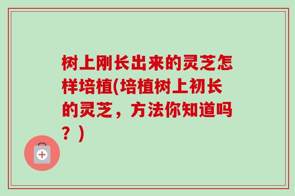 树上刚长出来的灵芝怎样培植(培植树上初长的灵芝，方法你知道吗？)