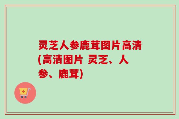 灵芝人参鹿茸图片高清(高清图片 灵芝、人参、鹿茸)