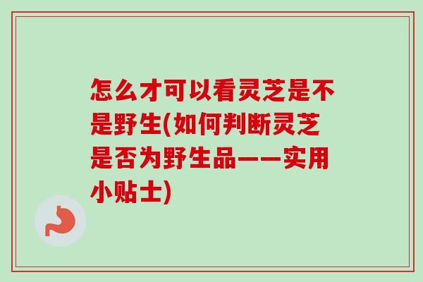 怎么才可以看灵芝是不是野生(如何判断灵芝是否为野生品——实用小贴士) 怎么才可以看灵芝是不是野生(如何判断灵芝是否为野生品——实用小贴士)