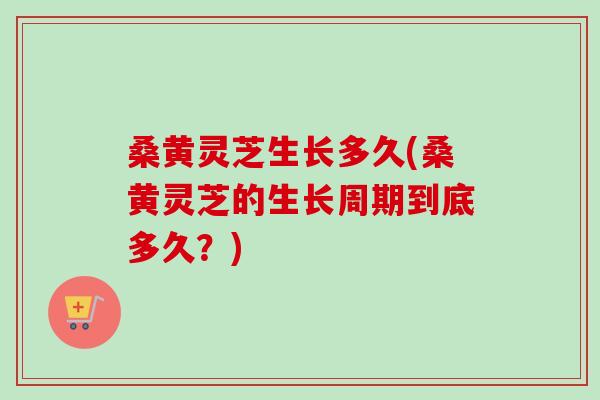 桑黄灵芝生长多久(桑黄灵芝的生长周期到底多久？)