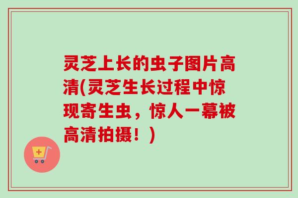 灵芝上长的虫子图片高清(灵芝生长过程中惊现寄生虫，惊人一幕被高清拍摄！)